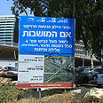 צילום: עופר עמרם