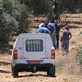 צילום: אתר פאנט