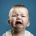 צילום: shutterstock