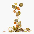 צילום: shutterstock