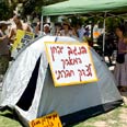 צילום: ערן שפי