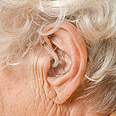 צילום: shutterstock