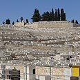 צילום:גיל יוחנן 