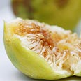 צילום: מיכל וקסמן