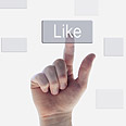 צילום: shutterstock