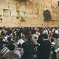 צילום: אלי מנדלבאום