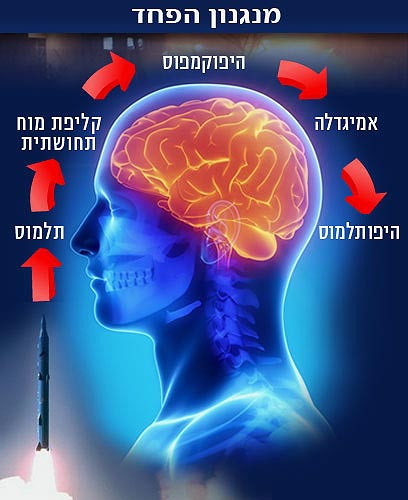 הפעלת נתיבי הפחד במוח (איור: ynet, shutterstock)