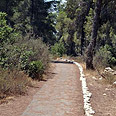 צילום: רונית סבירסקי 