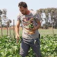 צילום: אסף רונן