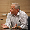 צילום: גיל יוחנן