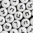 צילום: shutterstock