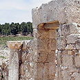 צילום: זיו ריינשטיין