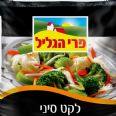 צילום: מוני בלוך