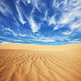 צילום: shutterstock