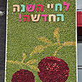 צילום: אורן דאי