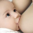 צילום: shutterstock