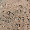 Ynet