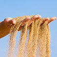 צילום: Shutterstock