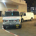צילום: חסן שעלאן