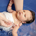 צילום: shutterstock