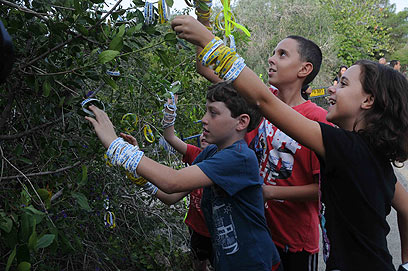 ילדי מצפה הילה מחכים לגלעד (צילום: אביהו שפירא)