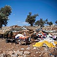 צילום: נועם מושקוביץ