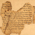 Ynet