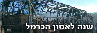 צילום: יואב זיתון