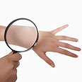 צילום: shutterstock 