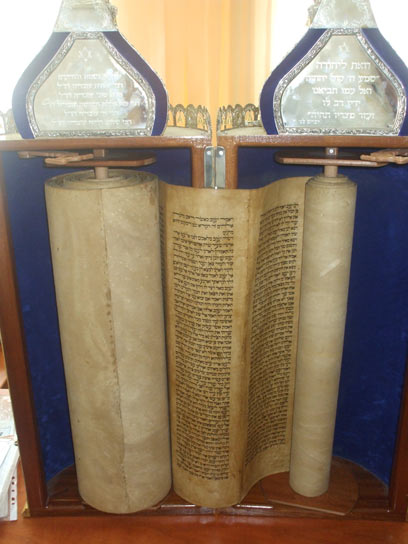 צילום: בועז דיין