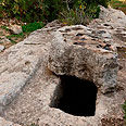 צילום: חנן ישכר