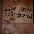 צילום: גיל יוחנן