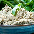 צילום: ירון ברנר