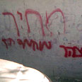 צילום: בצלם