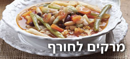 צילום: גל חרמוני