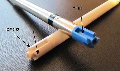 (איור: עידו גנדל)