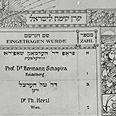 צילום: רונית סבירסקי צילום: רונית סבירסקי