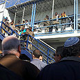 צילום: אילנה קוריאל