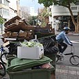 צילום: מוטי קמחי