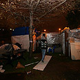 צילום: גיל יוחנן