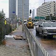 צילום: גלעד מורג
