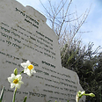 צילום: זיו ריינשטיין צילום: זיו ריינשטיין