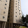 צילום: מוטי קמחי