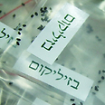 צילום: יואל זוהר