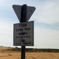 צילום:  יואב זיתון