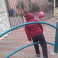 צילום: 