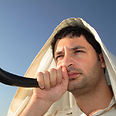 צילום: Shutterstock