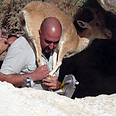 צילום: אביתר אבירם, רשות הטבע והגנים