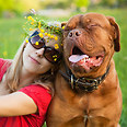 צילום: shutterstock