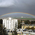 צילום: לימור הוך